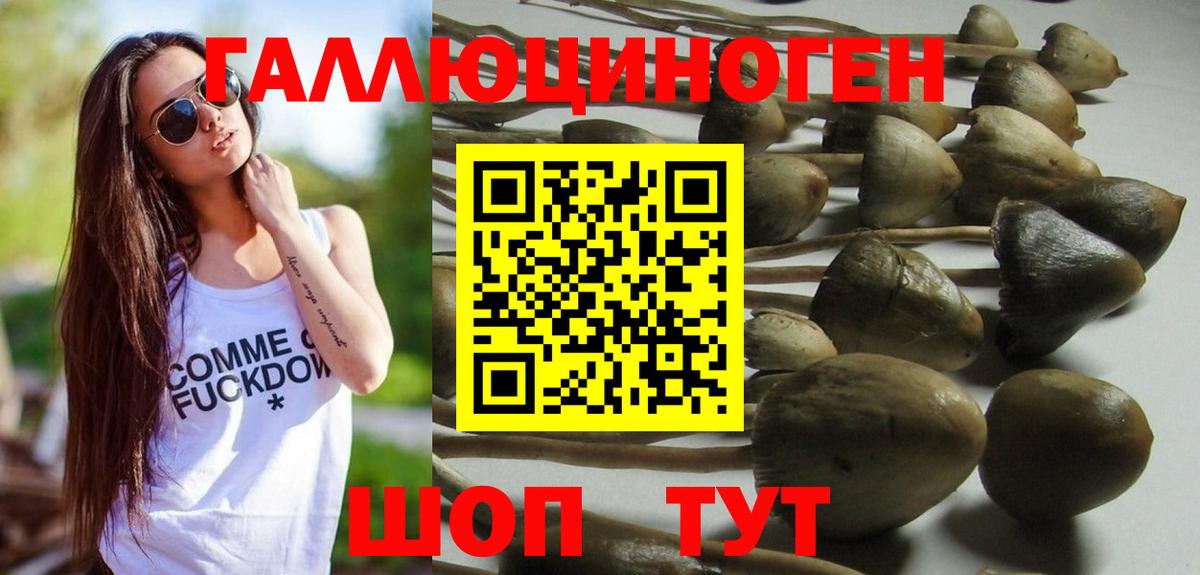 Орск  хочу   Вход с VPN  Галлюциногенные грибы MAGIC MUSHROOMS  Галлюциногенные грибы Cubensis 